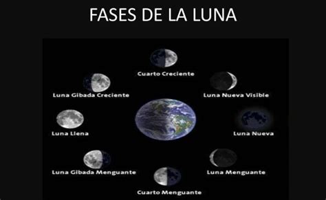 Infografia Fases De La Luna Informacion Y Caracteristicas Geografia