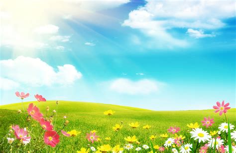 72 Cool Spring Backgrounds