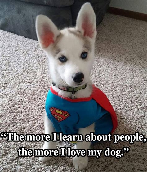 10 Dog Quotes That Will Inspire Any Dog Owner I Heart Pets