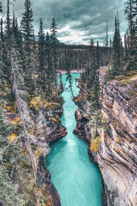 Athabasca River In Jasper National Park Top 10 Amazing Things To See