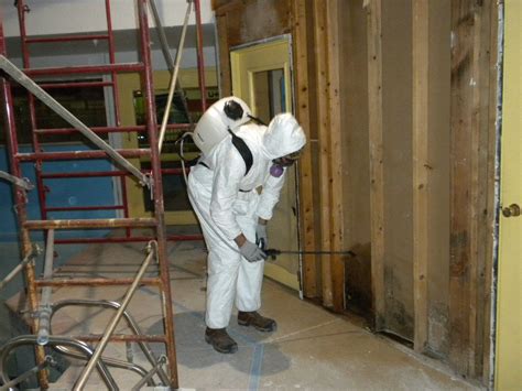 What To Do If A Specialist Says Your House Needs Mold Removal