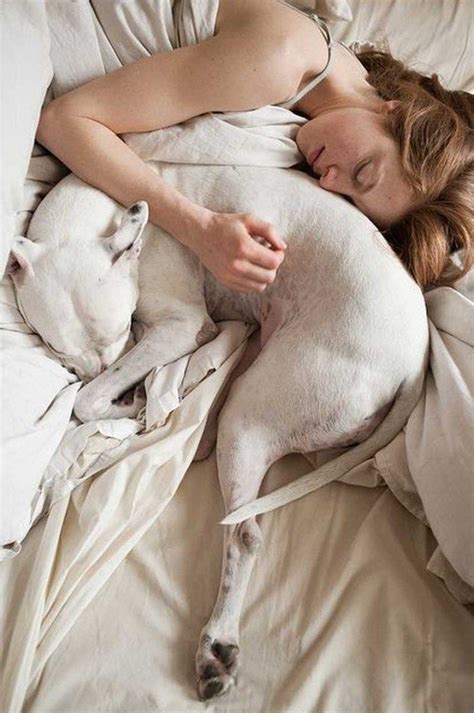 17 Adorable Photos Of Pets Sleeping In Bed With Their Humans Dog Love