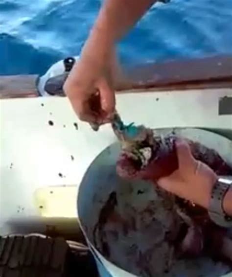 Shocking Video Shows Angler Pulling Plastic Bags And Other Rubbish Out