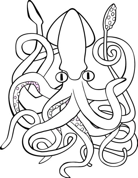 16 Giant Squid Coloring Pages  Printable Coloring Pages