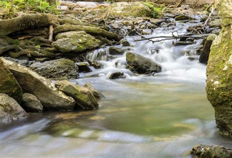 Nature Background Water In Stream Stock Photo Image Of