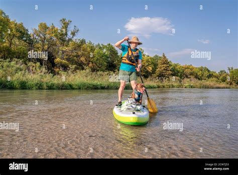 senior paddler is paddling stand up paddleboard with his pitbull dog on