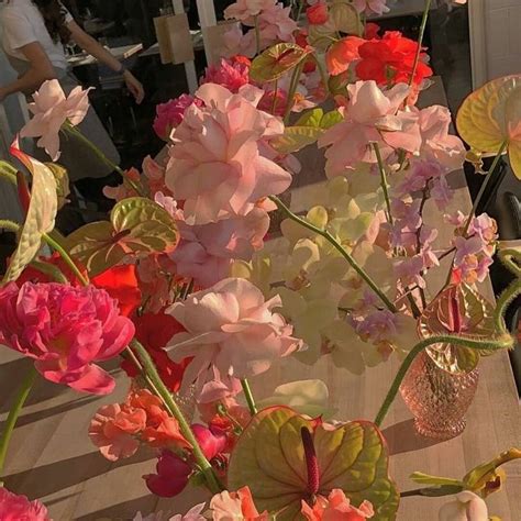 Flowers 🌺 On Twitter In 2021 Beautiful Flowers Pretty Flowers