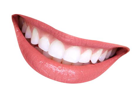 Mouth Smile Png Image Purepng Free Transparent Cc Png Image Library