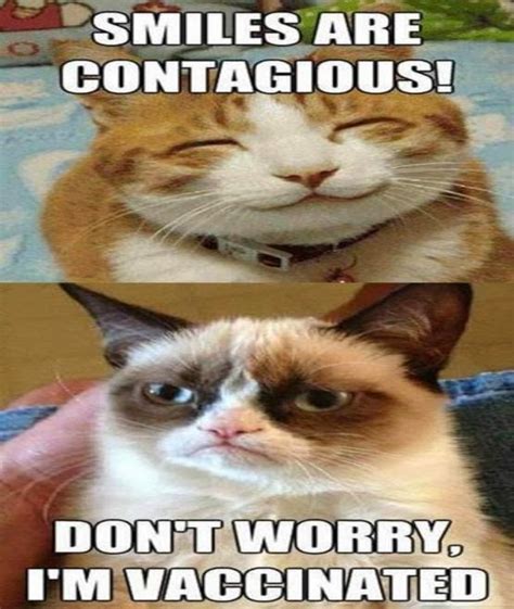 10 Funny Grumpy Cat Memes