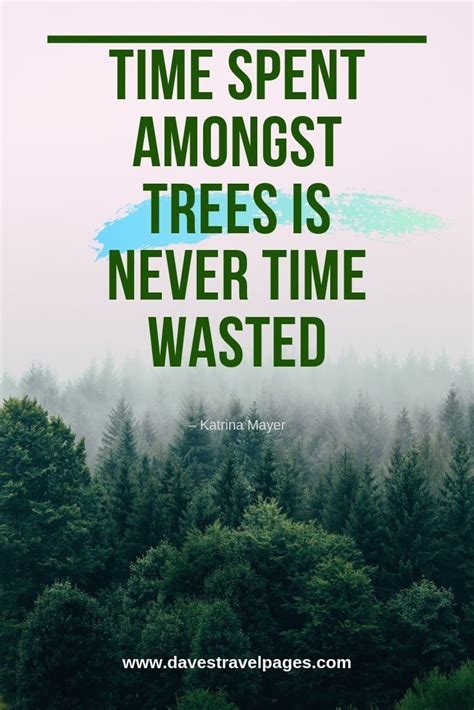 Tree Quotes Short Inspiration