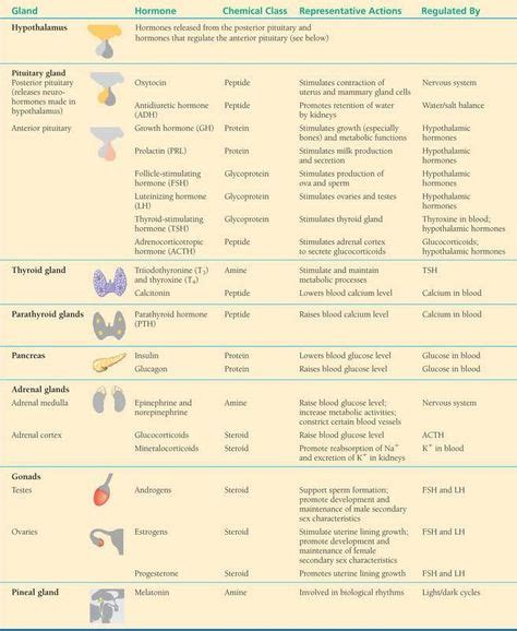 Pin By Stephanie Durrah On Nursing Medical Laboratory Nursing