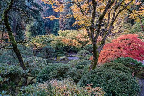 Portland Japanese Garden Strolling Pond Garden Flickr