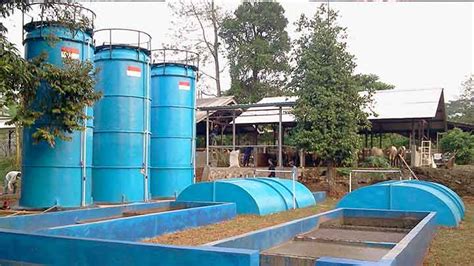 Agromedia Biogas Dari Limbah Ternak Gantikan Energi Listrik And Bbm