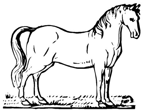 Wild Horse Coloring Pages Coloring Home