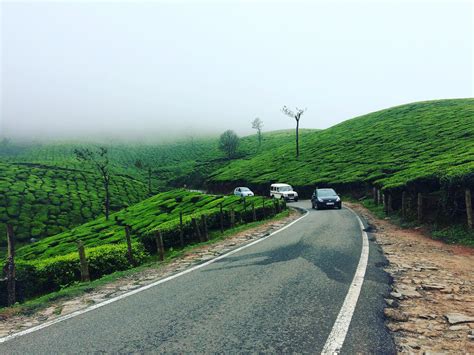 Best Time For Munnar Road In Kerala 2022 Best Season Roveme