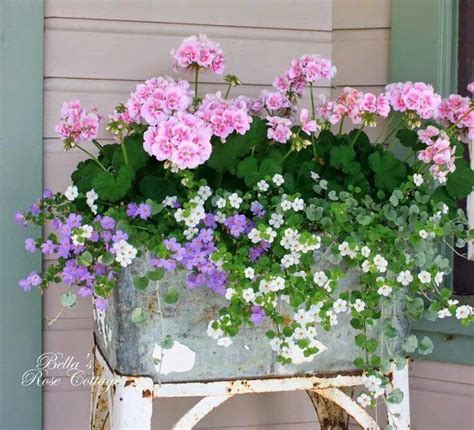 Cottage Garden Ideas From Pinterest For Our Blue Cottage Container