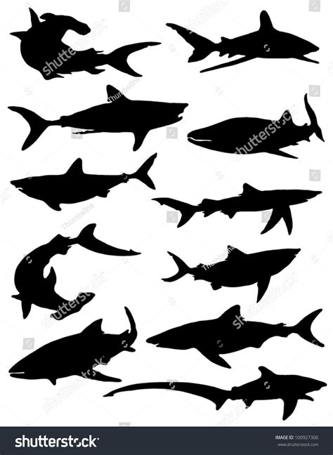 Collection Silhouettes Sharks Vector De Stock Libre De Regalías