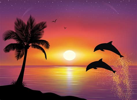 Dolphin Paradise Inspirierend In 2019 Sonnenuntergang Malen