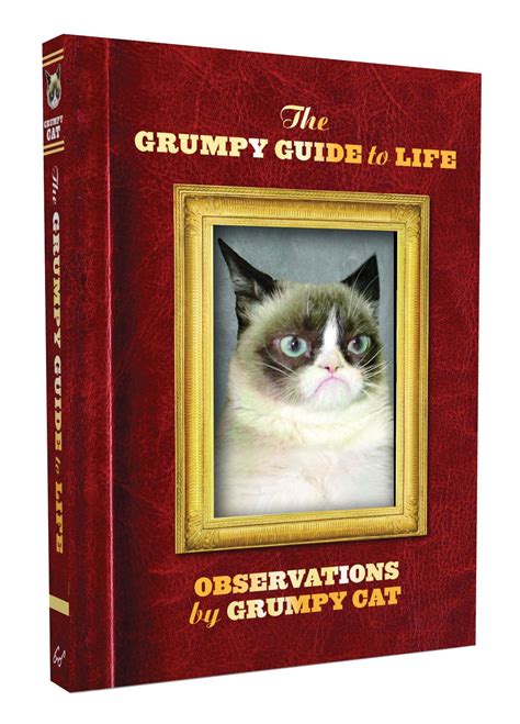 Grumpy Cat Book Grumpy Cat Grumpy Cat Humor