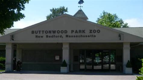 Help Wanted Buttonwood Park Zoo Watchperson New Bedford Guide