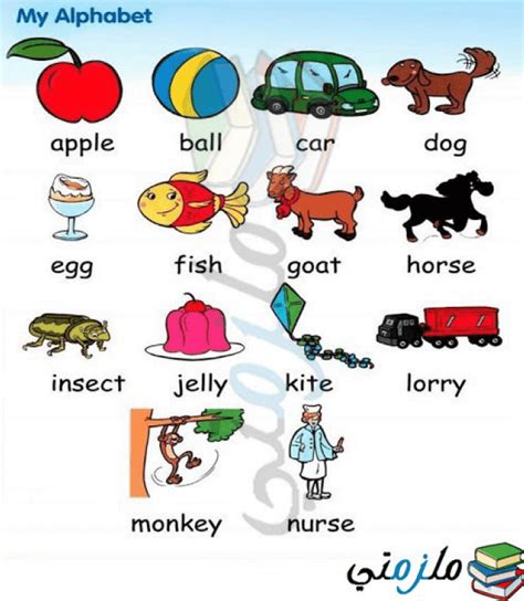 تعليم كلمات انجليزى للاطفال نصائح ومراجع الصور