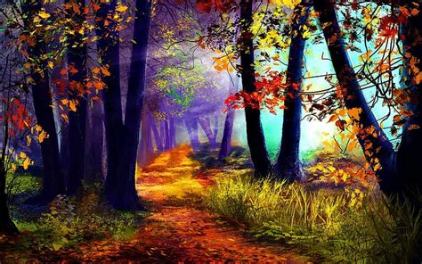 Colorful Forest Forest Colorful Quiet Autumn Lovely Sunlight