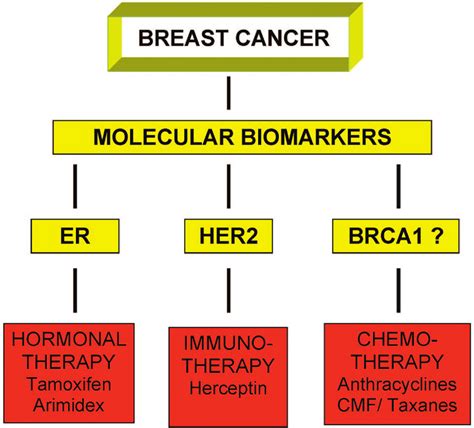 Schematic Demonstrating Current Molecular Biomarkers Used In The