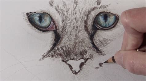 Draw two curved lines next to each other for the cartoon kitten's eyes. How to Draw Cat Eyes with Colored Pencils