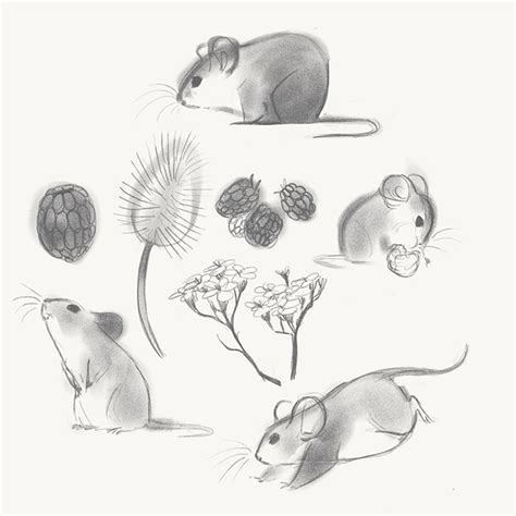 Cute Mice Sketches Egomouse Photo 39485102 Fanpop