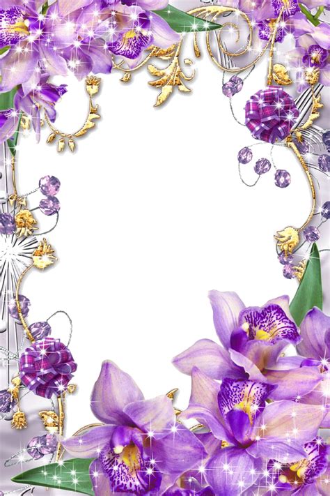 Transparent Flower Borders And Frames Images And Photos Finder