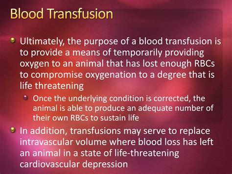 Ppt Canine And Feline Blood Transfusions Powerpoint Presentation Id