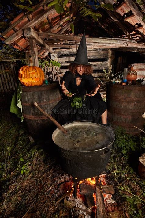Witch Boiling Spells Stock Image Image Of Boil Dark 133150749