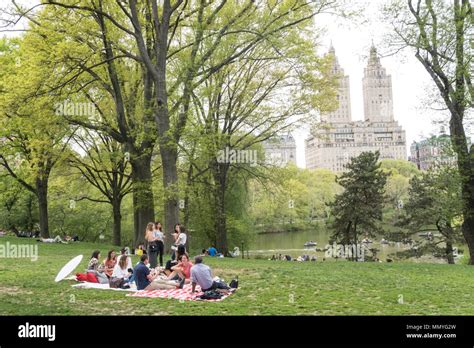 Young Adults Picnic In Central Park In The Springtime Central Park
