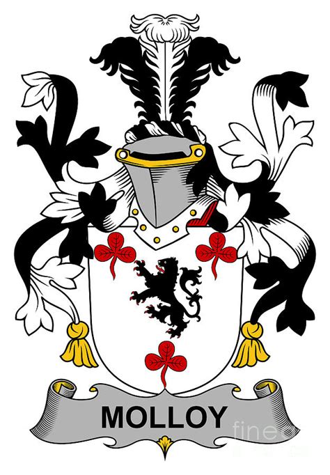 Molloy Coat Of Arms Irish Digital Art By Heraldry