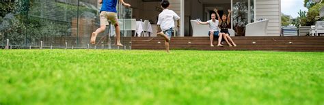 Scotts lawn care services inc. Scotts Lawn Builder | Love The Garden