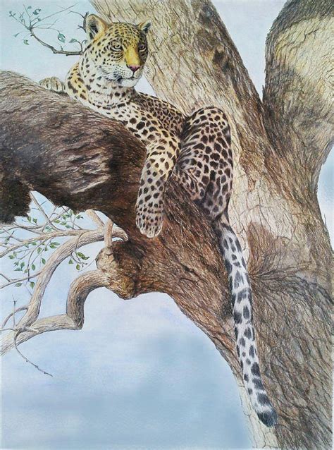 Panthera Pardus By Leogon On Deviantart