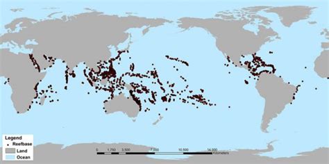 Peta Persebaran Terumbu Karang Di Indonesia Imagesee
