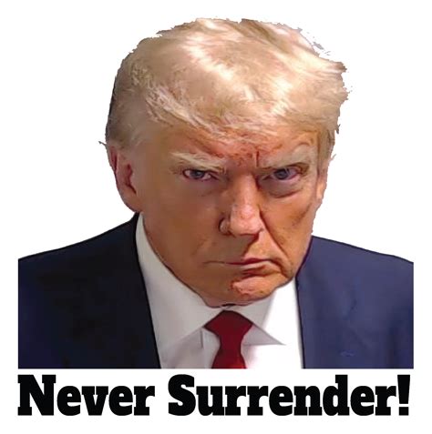 Trump Mugshot Sticker USA Donald Trump Official Mug Shot Never