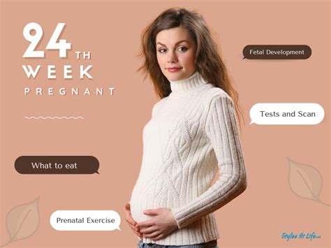 24 Weeks Pregnant Symptoms And Fetal Development