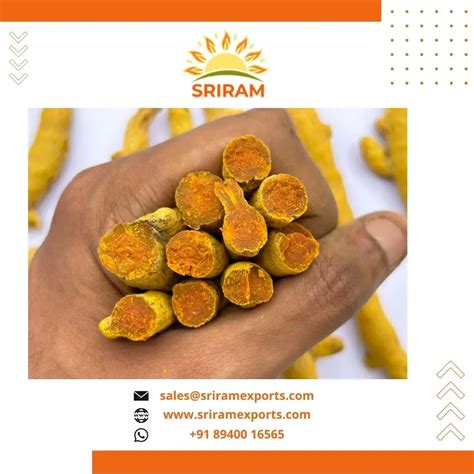 Yellow Turmeric Double Polish Finger At Reasonable Price Full Dried