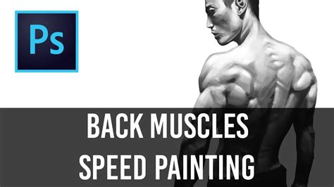 Back Muscles Speed Painting Youtube
