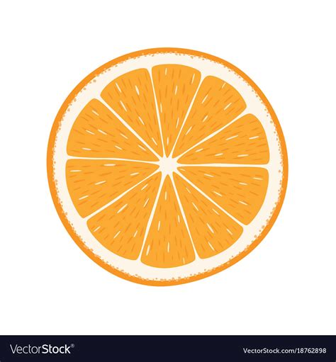 Orange Fruits Royalty Free Vector Image Vectorstock