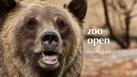 Ascension St John Zoorun Results 2019 Tulsa Zoo