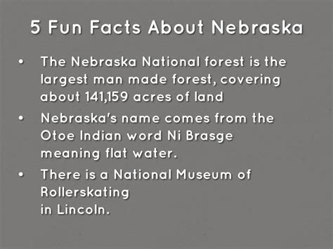 5 Fun Facts About Nebraska By Avery Shane