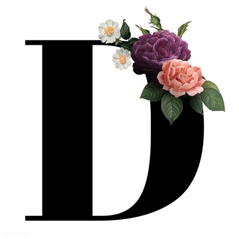 Alphabet letter e and pictures. Floral letter D font | Free transparent png - 582903