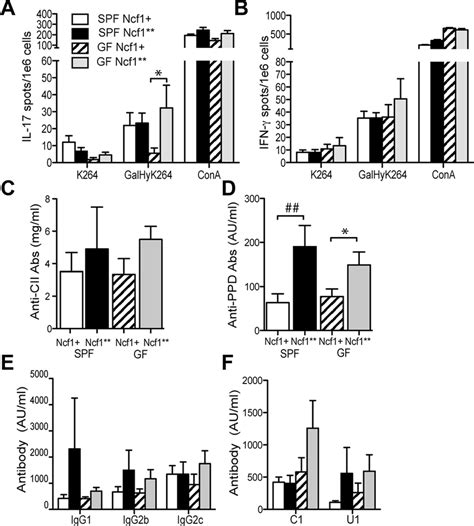 T And B Cell Responses To Cii In Specific Pathogen Free Spf Or