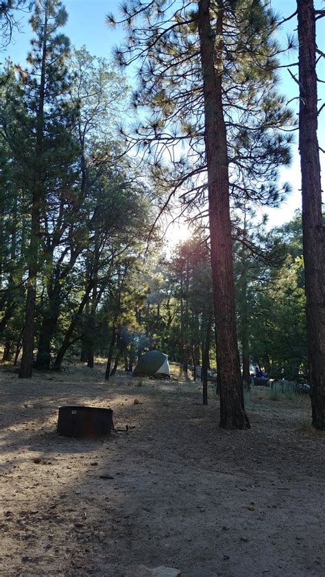 San Gorgonio Campground The Dyrt