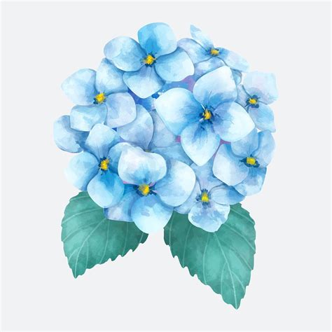 Blue Flowers With Green Leaves On A White Background