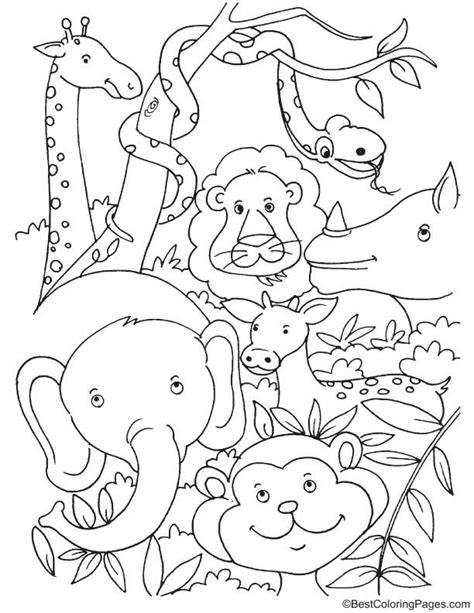 Tropical Rainforest Animals Coloring Page Animal Coloring Pages