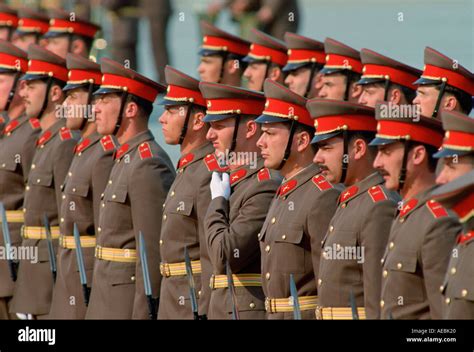 Army On Parade In Hungary Stock Photo Alamy